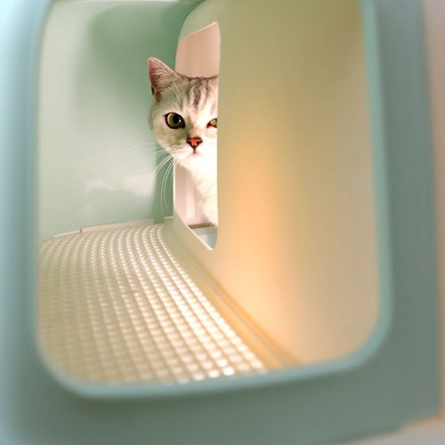 Misam Anti-Splashing Cat Litter Box With Handy Litter Scoop