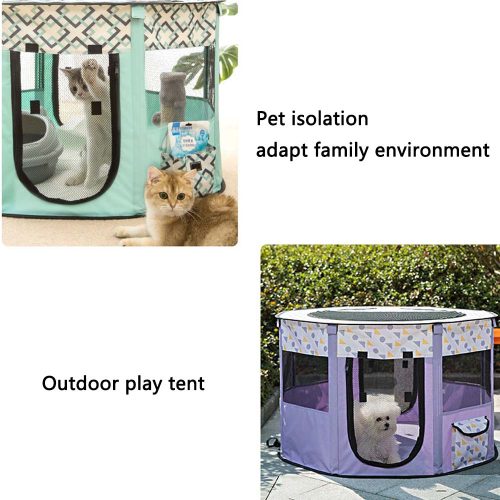 Misam Cat Pregnant Room