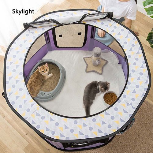 Misam Cat Pregnant Room