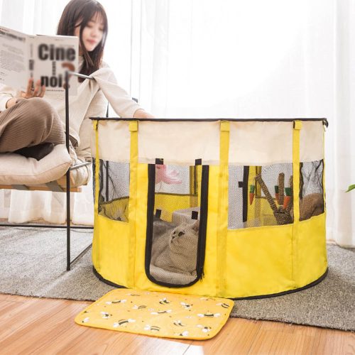 Misam Cat Pregnant Room