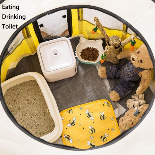 Misam Cat Pregnant Room