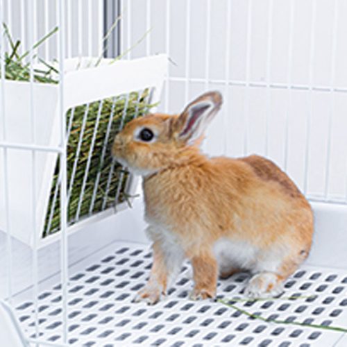 Misam Rabbit Ferret Chinchilla Cage