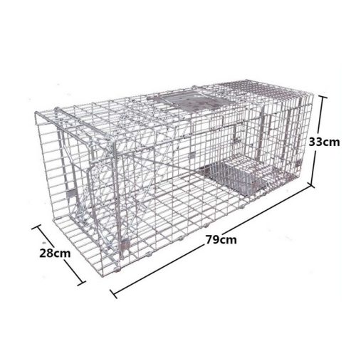 Misam Galvanized Collapsible Humane Animal Trap cage
