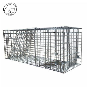Misam Galvanized Collapsible Humane Animal Trap cage
