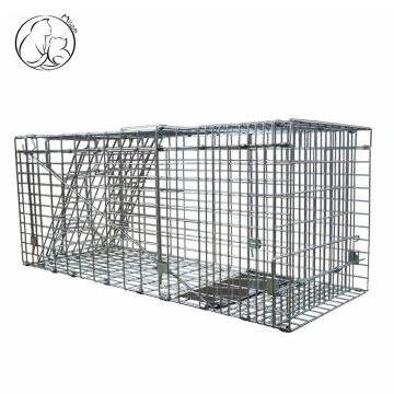 Misam Galvanized Collapsible Humane Animal Trap cage